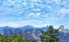 去吧皮卡丘九游版app-皮卡道，九游版之约
